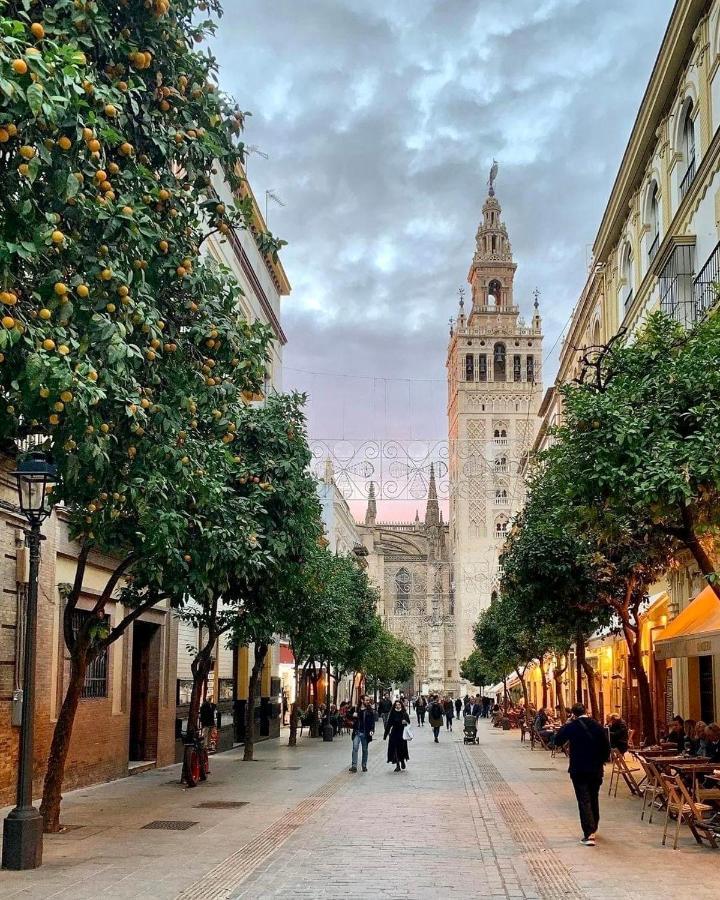 Suites Las Setas & Bicicletas Electricas Gratis Sevilla Exteriér fotografie