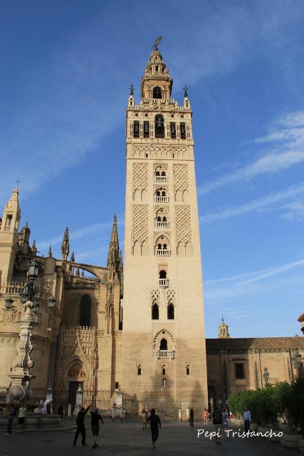 Suites Las Setas & Bicicletas Electricas Gratis Sevilla Exteriér fotografie