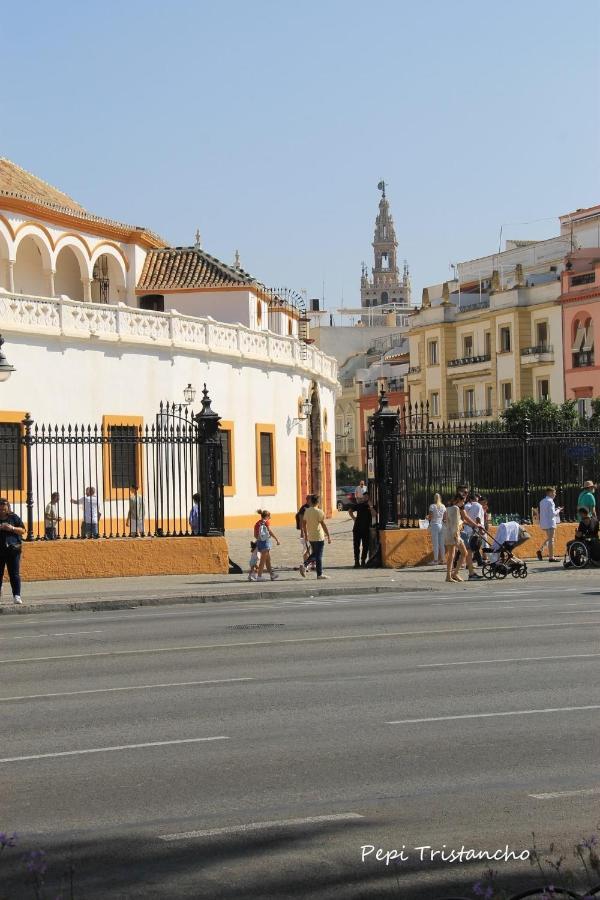 Suites Las Setas & Bicicletas Electricas Gratis Sevilla Exteriér fotografie